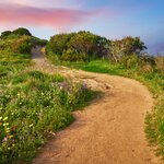 Wildflowers along the trail to Cabo da Roca, Portugal