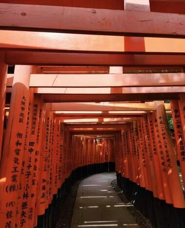 Day tour by public transport in Kyoto: Golden Pavilion,Fushimi Inari Shrine, Traditional Arts Performance, Pontocho Alley