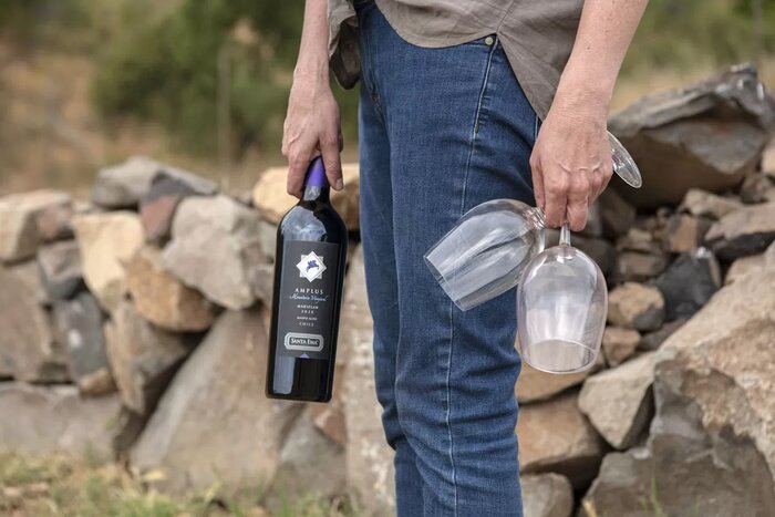 Visit to the Santa Ema Wineyard - with winetasting