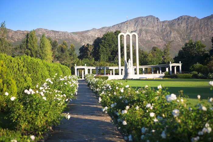 Afternoon in Franschhoek