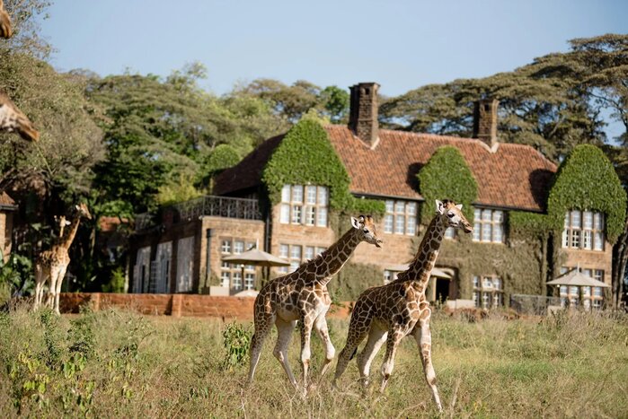 Photo courtesy of Giraffe Manor