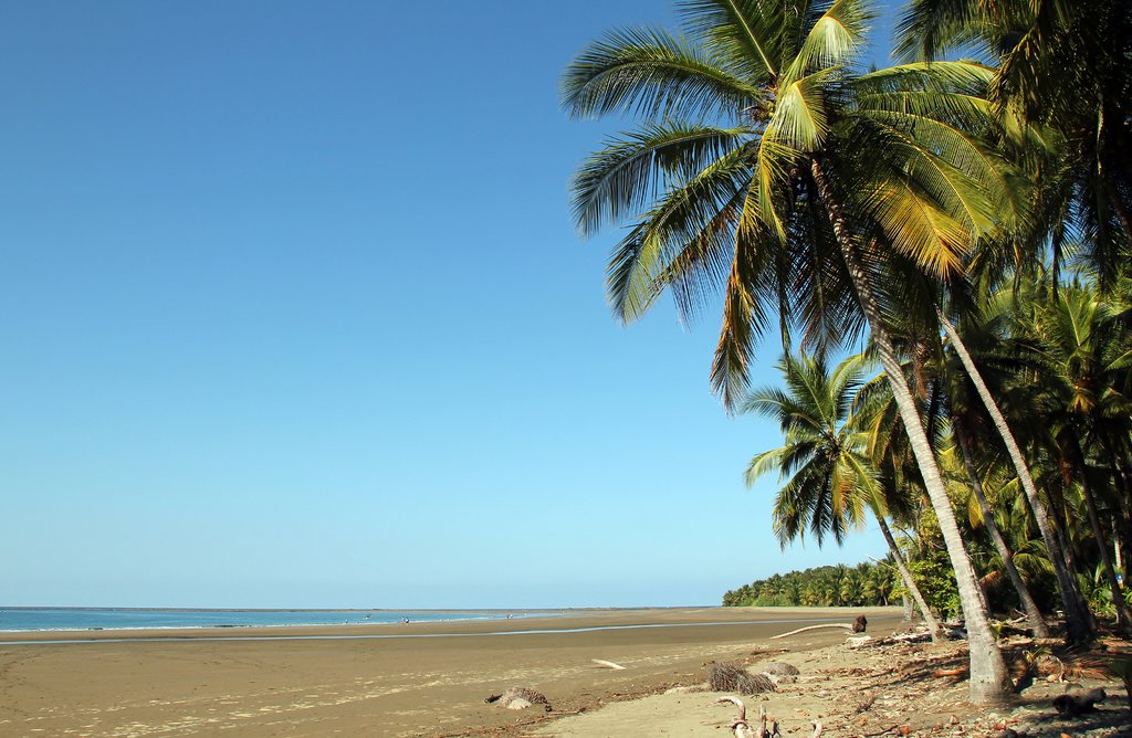 Marino Ballena National Park