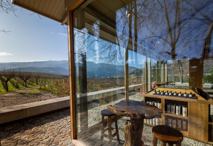 Douro Valley Vineyard Delights - A Lunch Experience