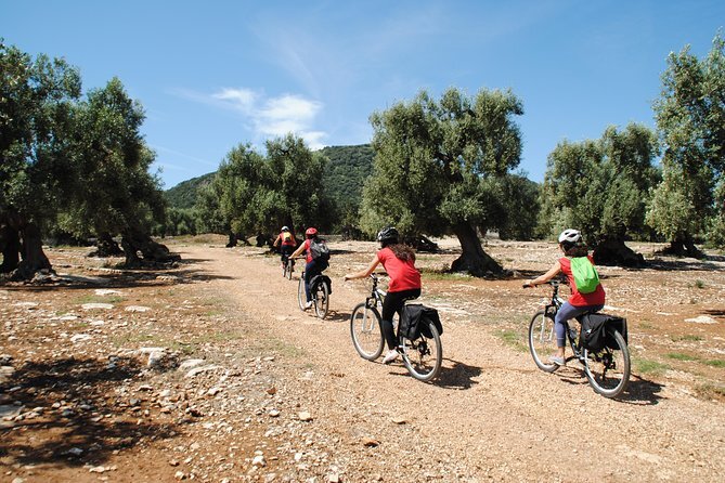 Ebike tour from Polignano with picnic