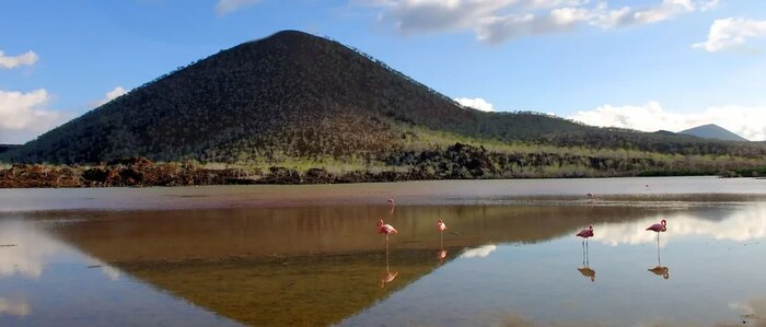 Snorkel Experince in Punta Cormorant / Champions Islet - Floreana Island