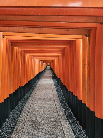 Crowd-Free Kyoto: Fushimi Inari, Nijo Castle & Kinkaku-ji