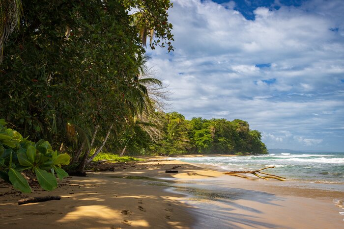 Essential Costa Rica: 4 Regions to Visit 