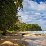 Punta Uva beach near Puerto Viejo de Talamanca on the Caribbean coast