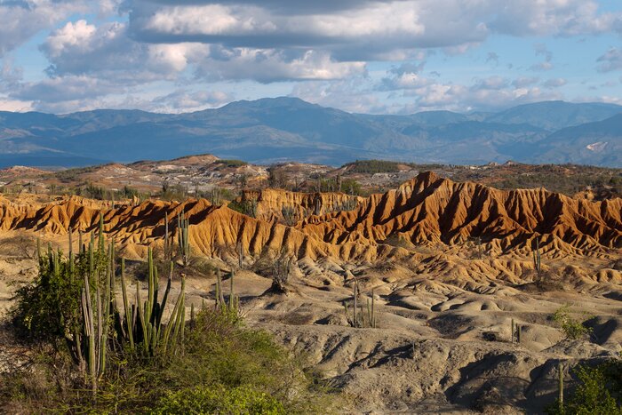 December welcomes clear skies and with that, you'll have excellent chances to appreciate otherworldly rock formations and stargazing in the Tatacoa Desert