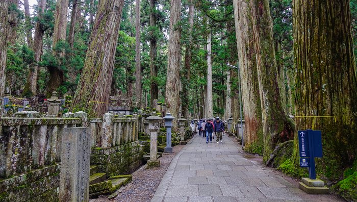 Mt. Koya and Temple Stay Experience