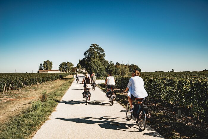 Half-day wine and bike guided tour 