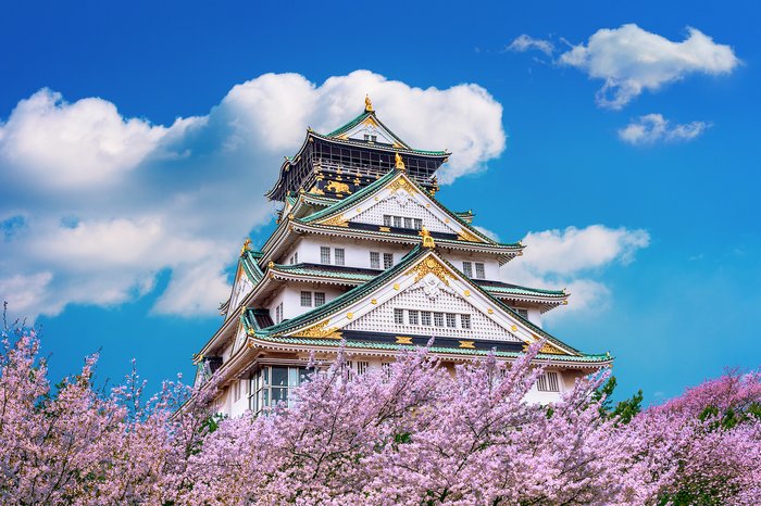 View of Osaka Castle During Cherry Blossom Season, Japan