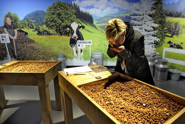 Cheese, Chocolate & Wine tour with Gruyères town, Maison Cailler factory & Lavaux vineyards