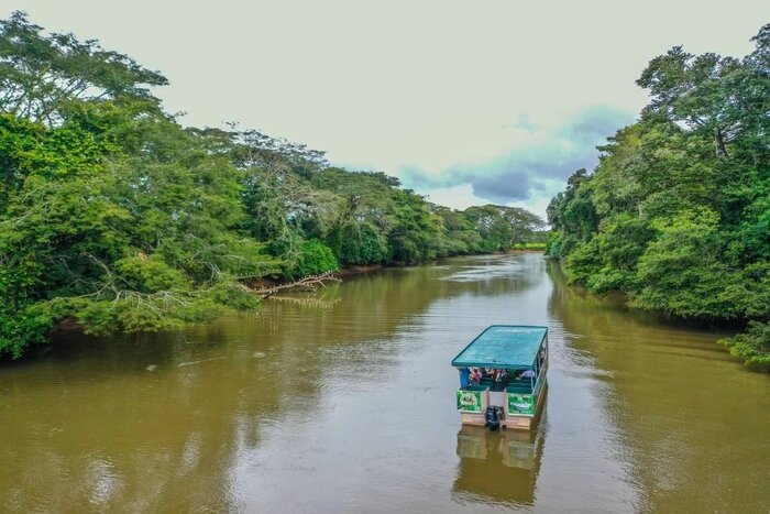 Caño Negro Wildlife Refuge Boat Safari