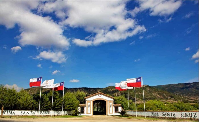 Full Day Colchagua Valley Wine Tour: Explore Montgras & Santa Cruz Vineyards