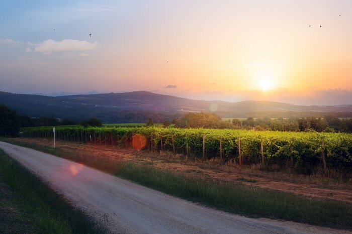 Beaujolais countryside