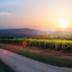 Beaujolais countryside