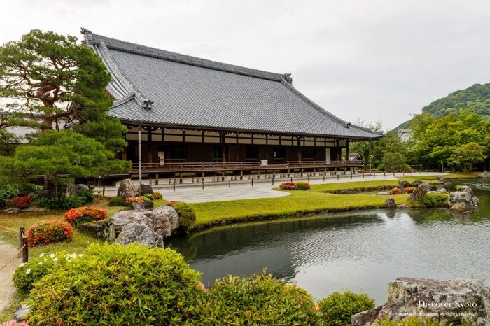 *Private Guided Tour in Arashiyama