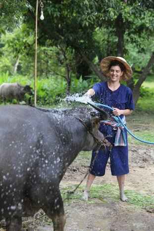 Experience as a local farmer - Half day experience 