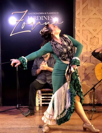 Flamenco Show in an Andalusian Patio