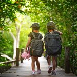 Explore boardwalks through the jungles of Tayrona