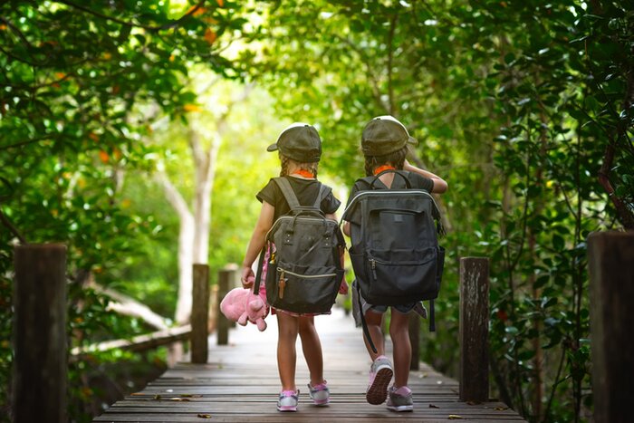 Explore boardwalks through the jungles of Tayrona