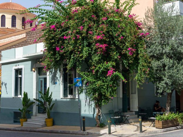 Authentic Athens Awaits: The Petralona Experience