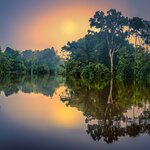 Views of the water in the Amazon