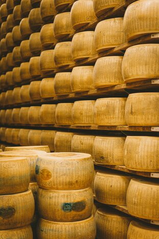 Parmigiano Reggiano cheese tasting tour (private)