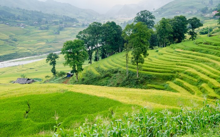 Take to the terraced hills and meet the locals of the Muong Hoa Valley