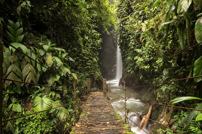 Hiking through the Amazon rainforest is just one of the many adventures on this 16 day vacation