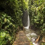 Hiking through the Amazon rainforest is just one of the many adventures on this 16 day vacation 