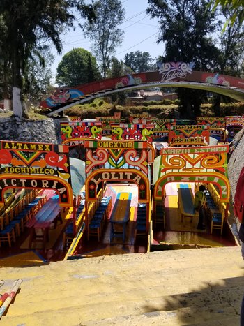 Cut your own Cempasúchil flower and enjoy the local gastronomy in Xochimilco