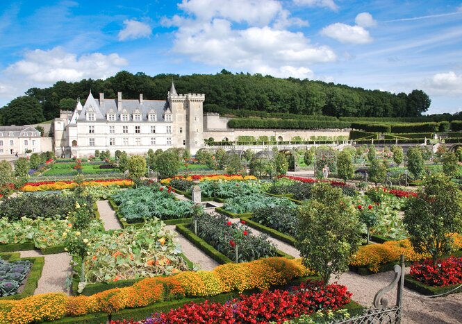 Private Châteaux Day Trip with Vouvray Wine Tasting