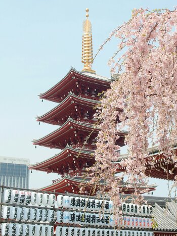 Sayonara Japan!