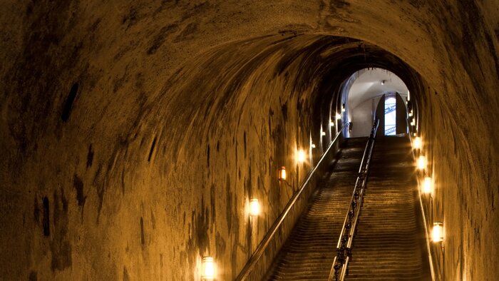 Guided Visit of Vranken-Pommery Estate with Tasting 'Champagne & Heritage'