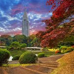 Tokyo's Shinjuku Park