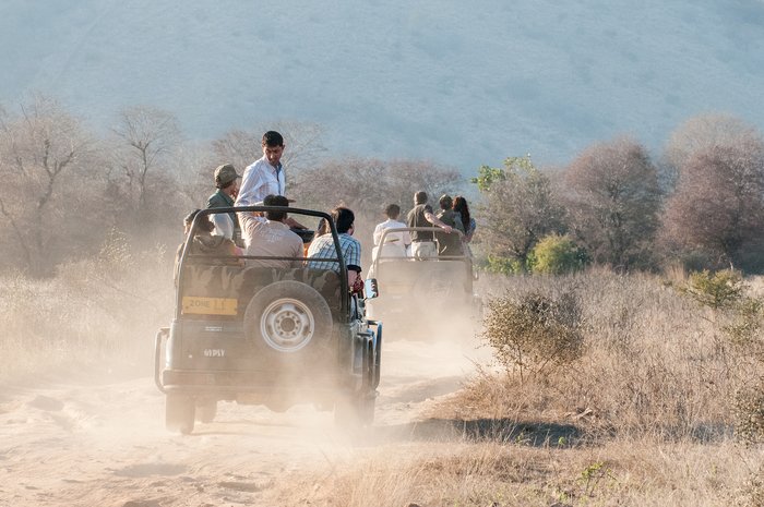 Morning and afternoon safaris at the Kanha National Park