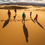 See a range of landscapes from limestone rock formations to desert sand dunes in the Middle Gobi