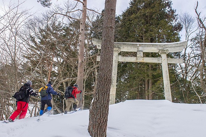 Traverse the Torii Pass to Narai