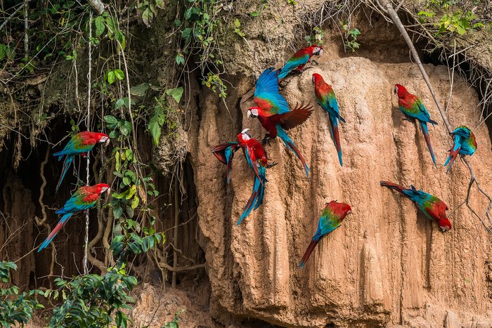 Activities-a-la-carte at  Posada Amazonas Lodge