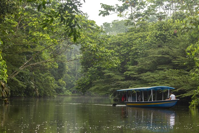 Parrot Clay Lick and more Amazon exploration - Suchipakari Lodge