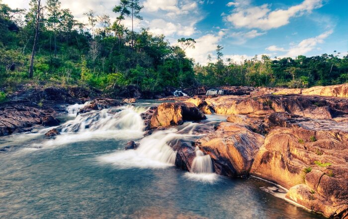 Waterfall swimming and Jungle trekking 
