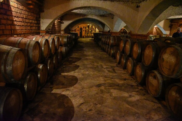 Wine tasting on Pelješac peninsula