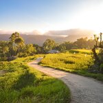 The Sulawesi highlands near Tana Toraja