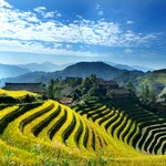 Walk among the perfectly manicured Longji Rice Terraces and visit a local village home
