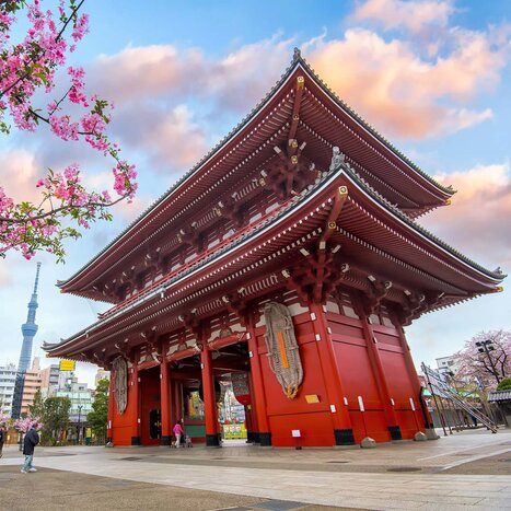 Tokyo Highlights Full-Day Tour (with Guide, by Public Transportation)