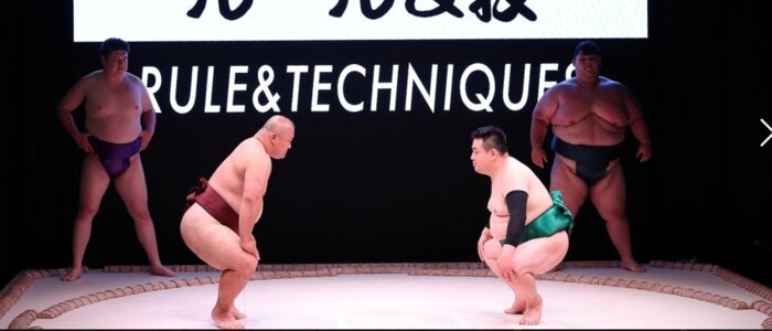 Osaka: Sumo Show Experience with Food Box