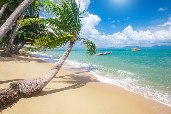 End the trip with a few days of beach bliss on Ko Samui