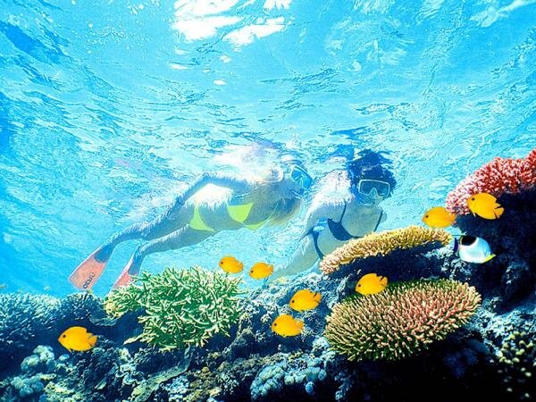 Koh Rok & Koh Haa Discovery with Snorkeling by Speedboat 